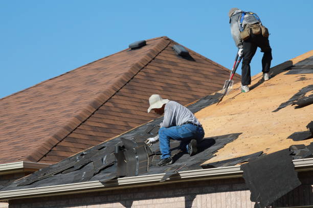 Best Asphalt Shingle Roofing  in Kentwood, MI